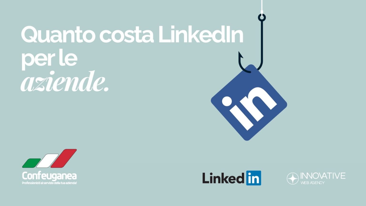 Quanto costa LinkedIn per aziende