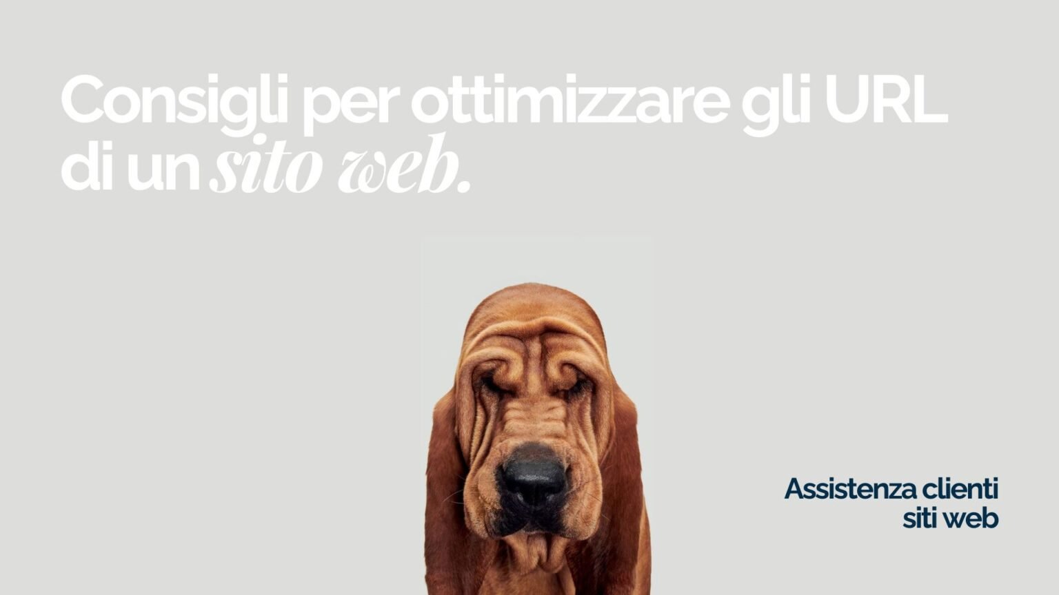 Consigli per Ottimizzare gli URL di un Sito Web