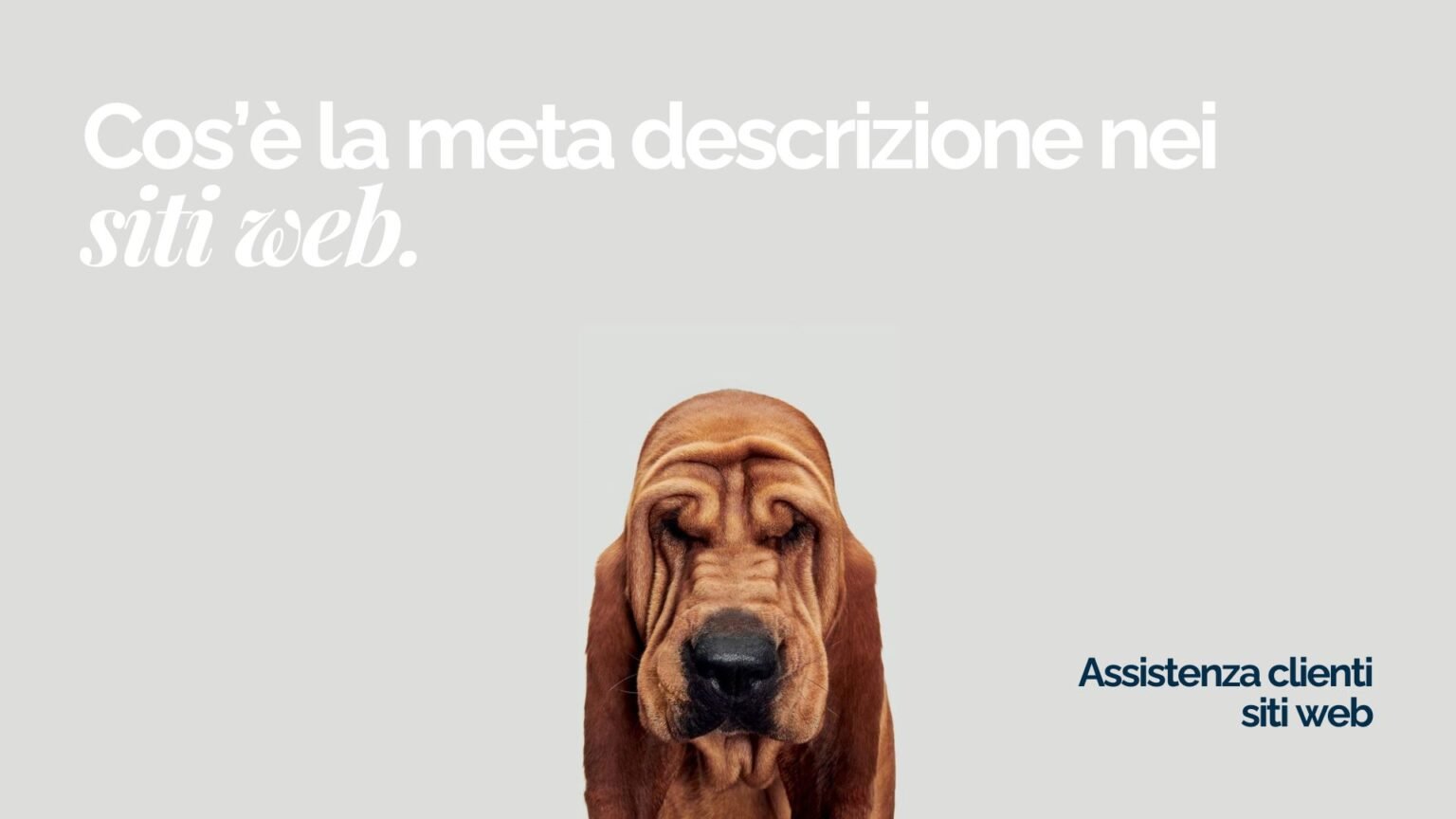 Cos’è la meta descrizione nei siti web