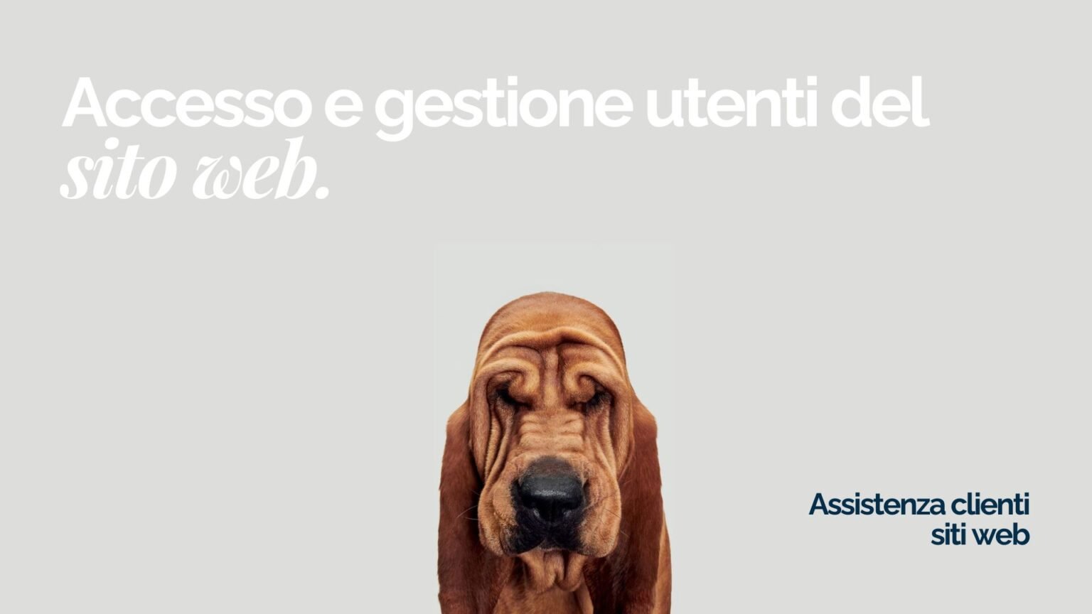 Gestione utenti sito web guida completa per accesso, ruoli e permessi