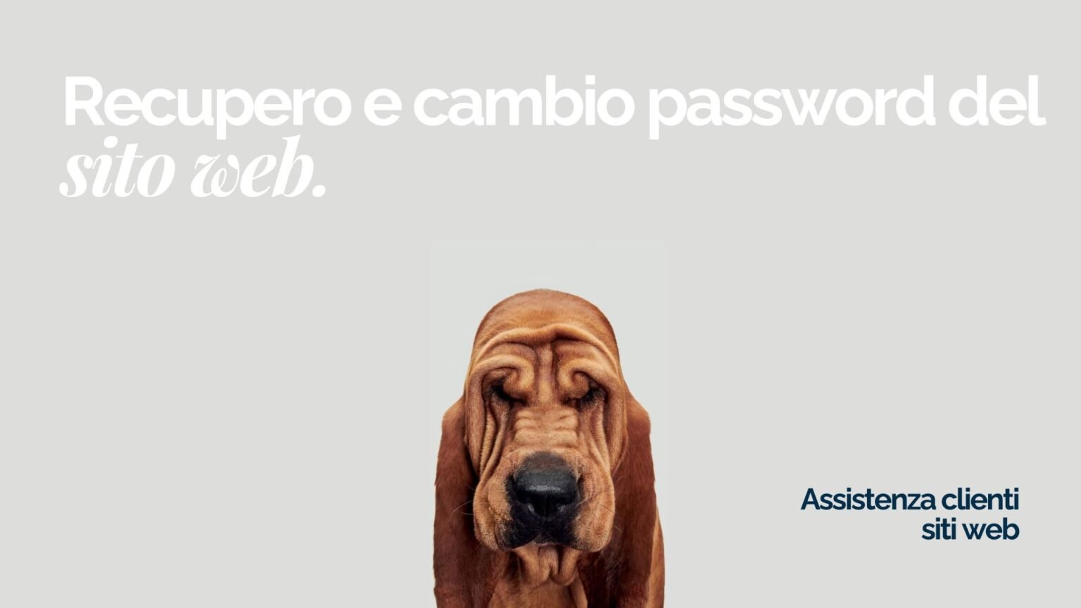 Recupero e cambio password su WordPress guida completa per i nostri clienti